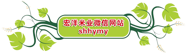 宏洋米業(yè)微信網(wǎng)站.png